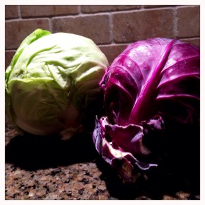 Photo Jan 12, 5 41 17 PM