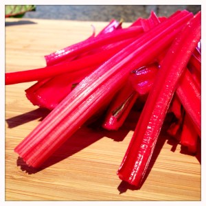 Photo Mar 16, 4 17 02 PM