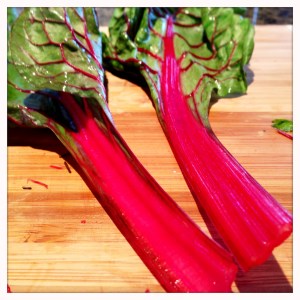 Photo Mar 16, 4 20 26 PM