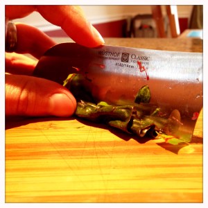 Photo Mar 16, 4 26 59 PM