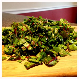 Photo Mar 16, 4 33 58 PM