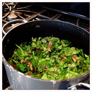 Photo Mar 16, 5 21 21 PM