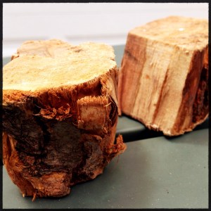 Photo Jun 20, 1 25 16 PM