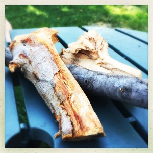 Photo Oct 11, 10 49 12 AM (1)